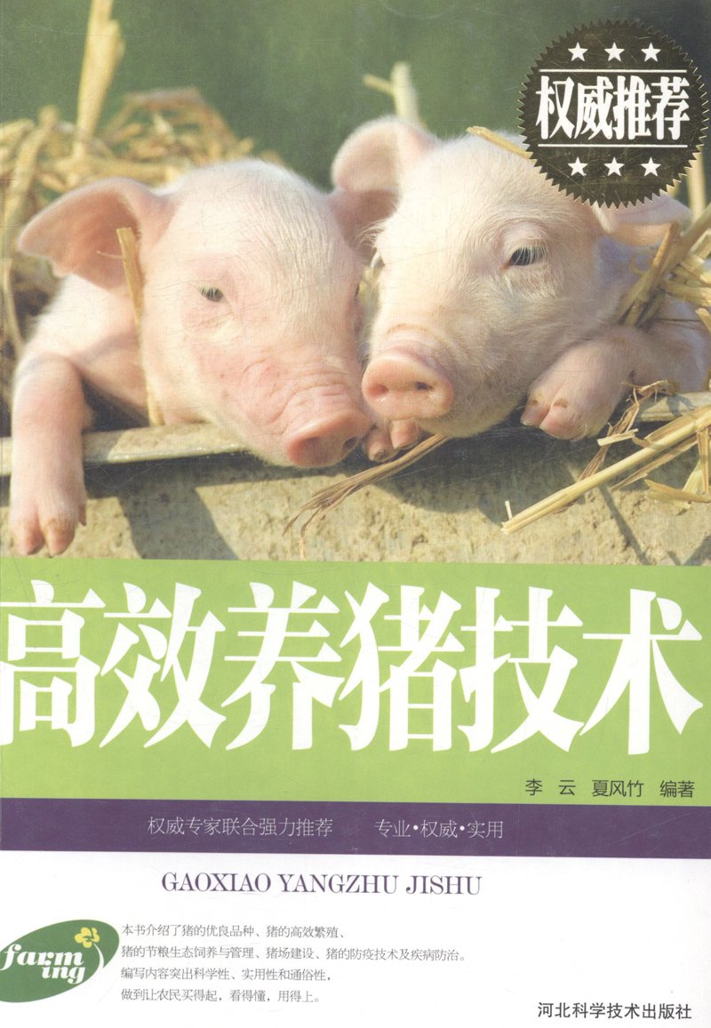 抓住季节变换,抢占夏日鞋子批发先机