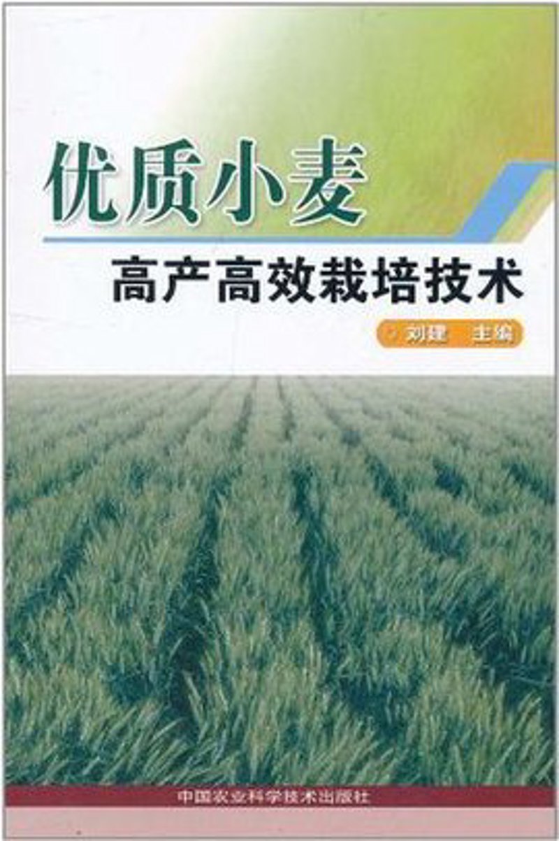 童鞋批发行业动态:从工厂到市场的一线观察